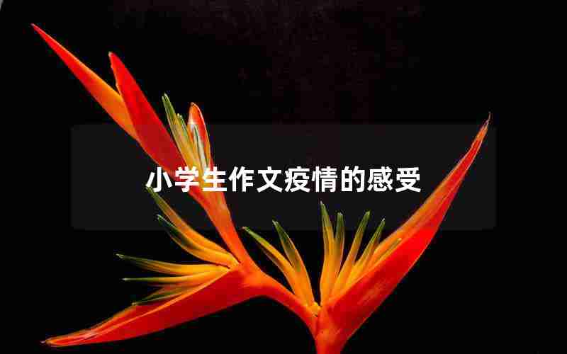 小学生作文疫情的感受