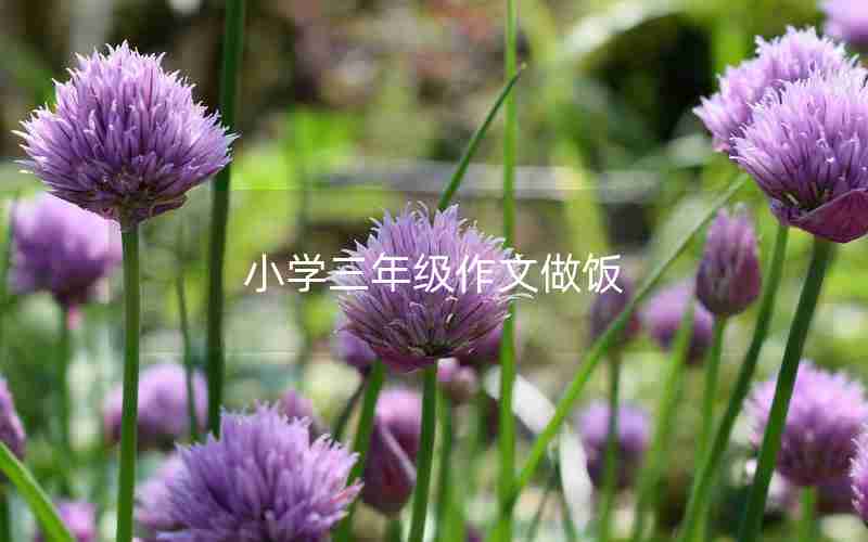 小学三年级作文做饭