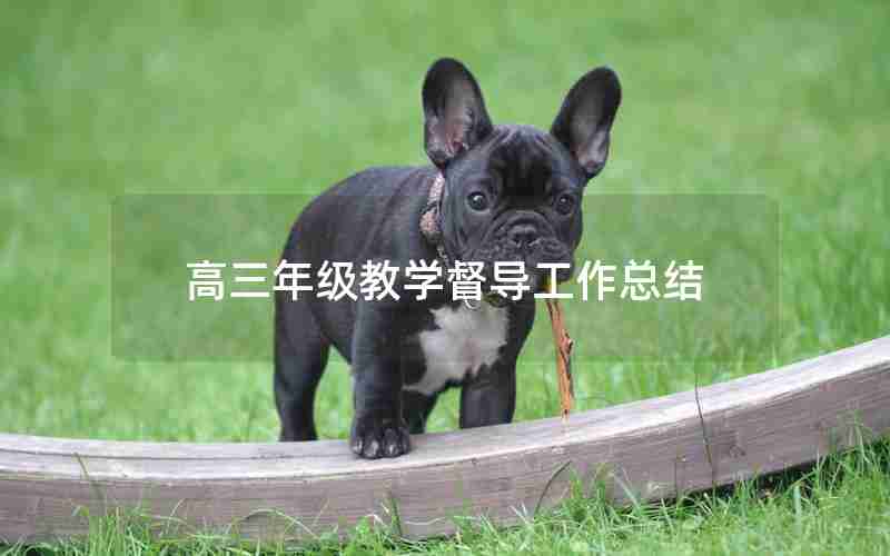 高三年级教学督导工作总结