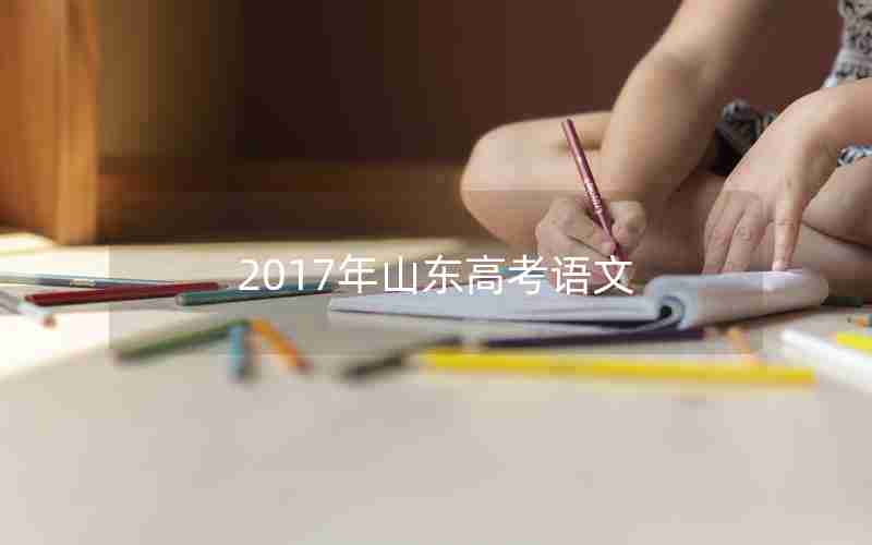 2017年山东高考语文