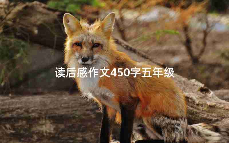 读后感作文450字五年级
