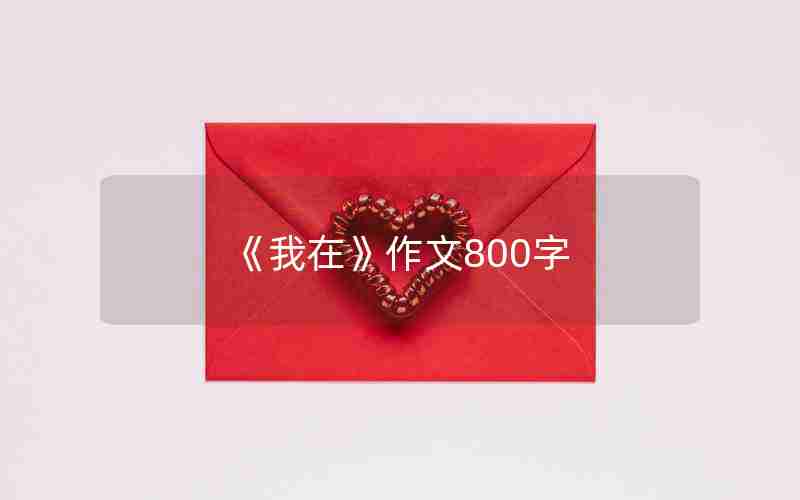 《我在》作文800字