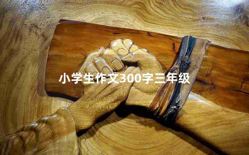 小学生作文300字三年级