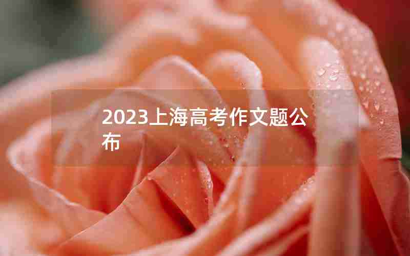 2023上海高考作文题公布
