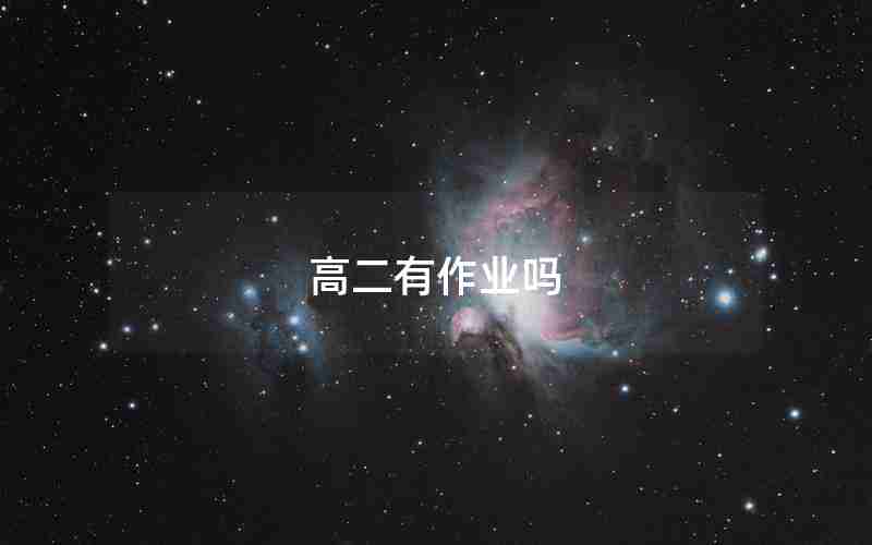 高二有作业吗
