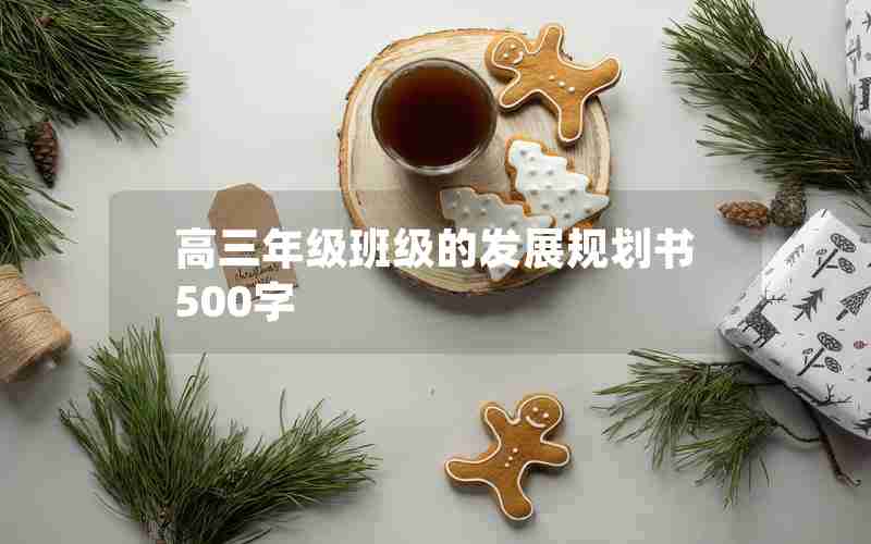 高三年级班级的发展规划书500字