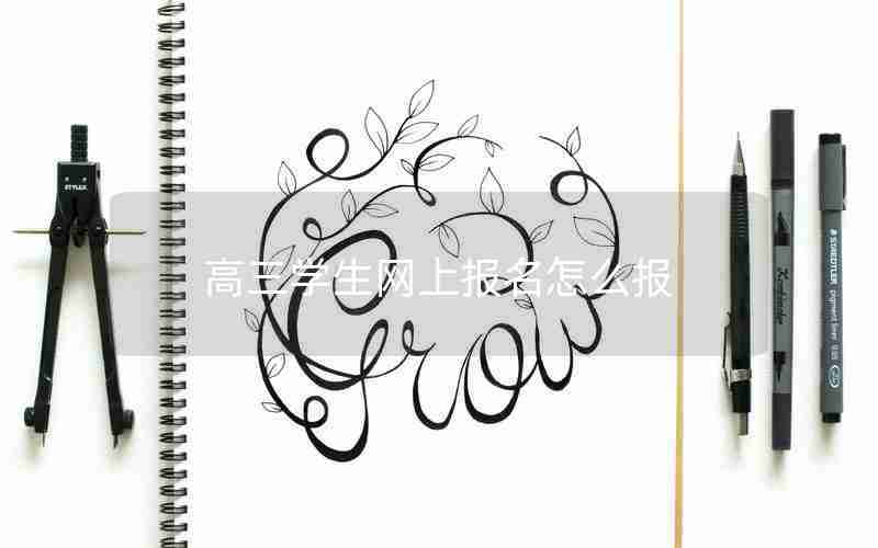 高三学生网上报名怎么报