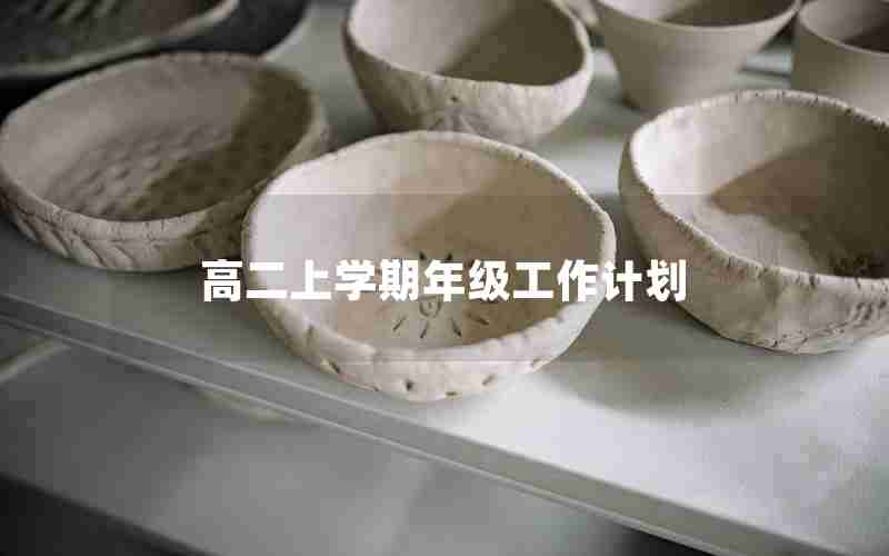 高二上学期年级工作计划