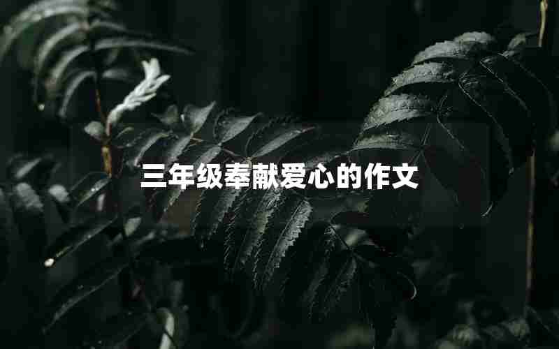 三年级奉献爱心的作文