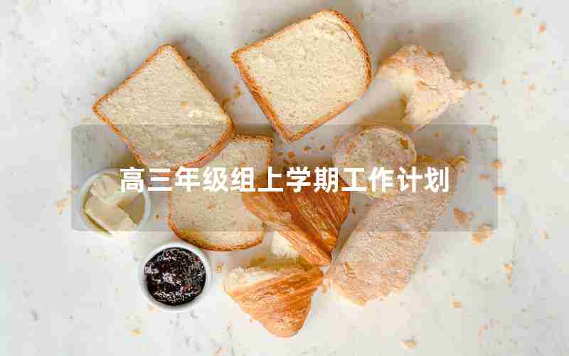 高三年级组上学期工作计划