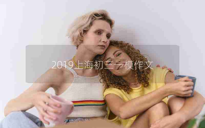2019上海初三一模作文