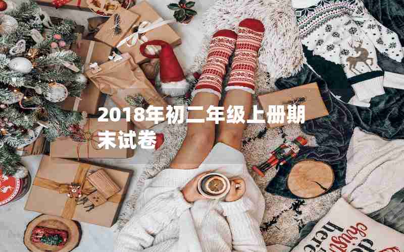 2018年初二年级上册期末试卷
