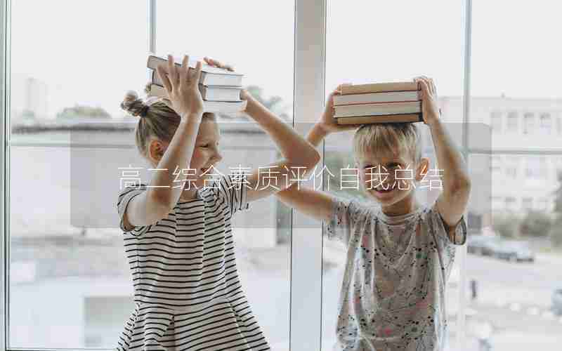 高二综合素质评价自我总结