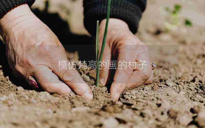 模仿梵高的画的村子