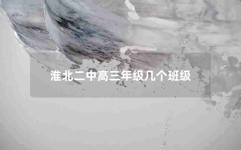 淮北二中高三年级几个班级