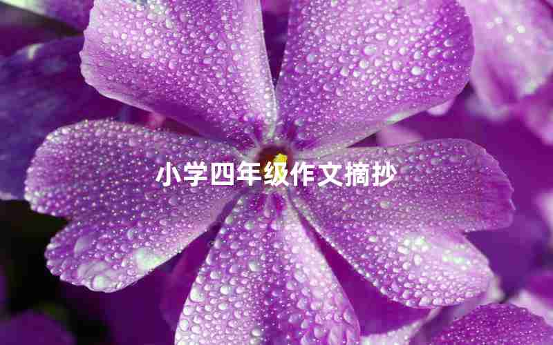 小学四年级作文摘抄