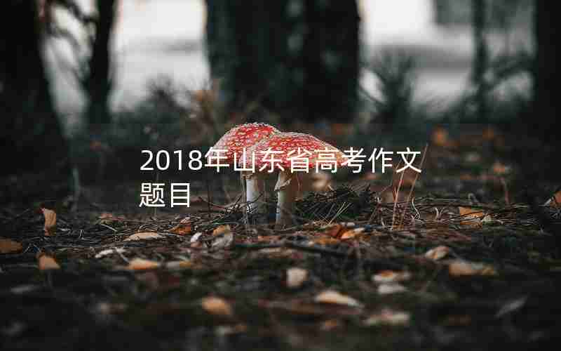 2018年山东省高考作文题目