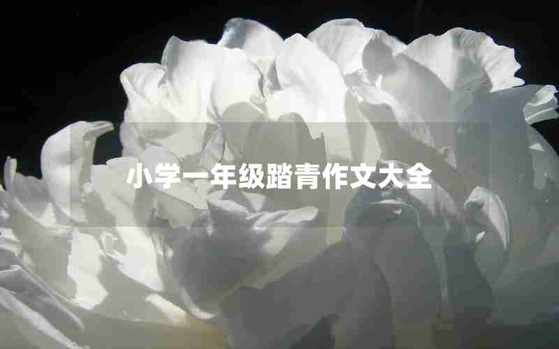 小学一年级踏青作文大全