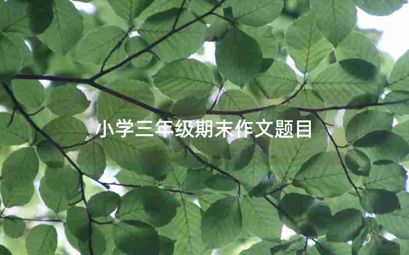 小学三年级期末作文题目