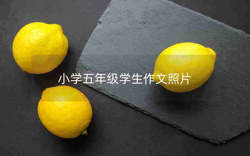 小学五年级学生作文照片