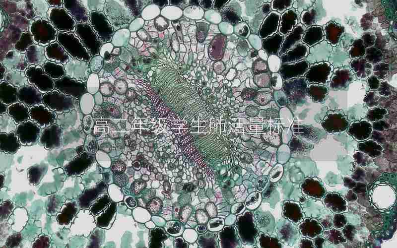 高二年级学生肺活量标准