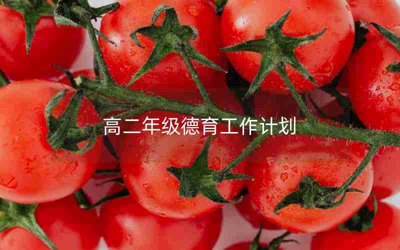 高二年级德育工作计划
