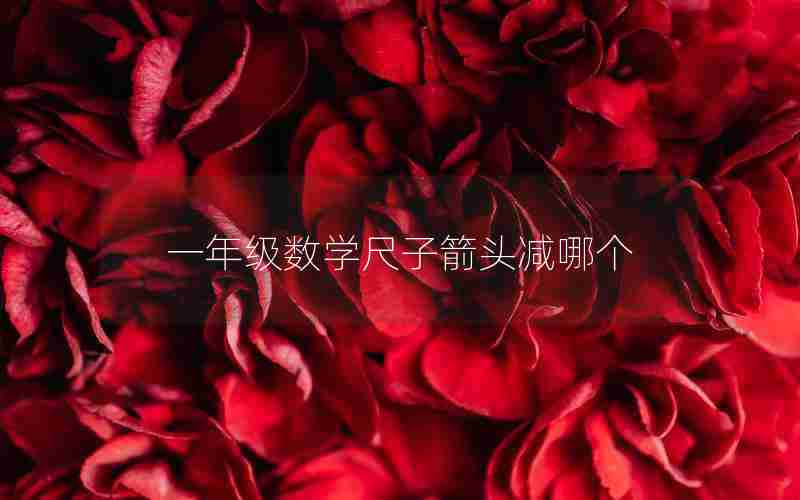 一年级数学尺子箭头减哪个