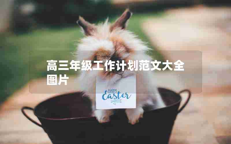 高三年级工作计划范文大全图片