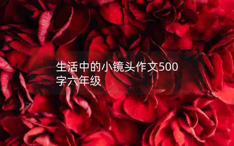 生活中的小镜头作文500字六年级