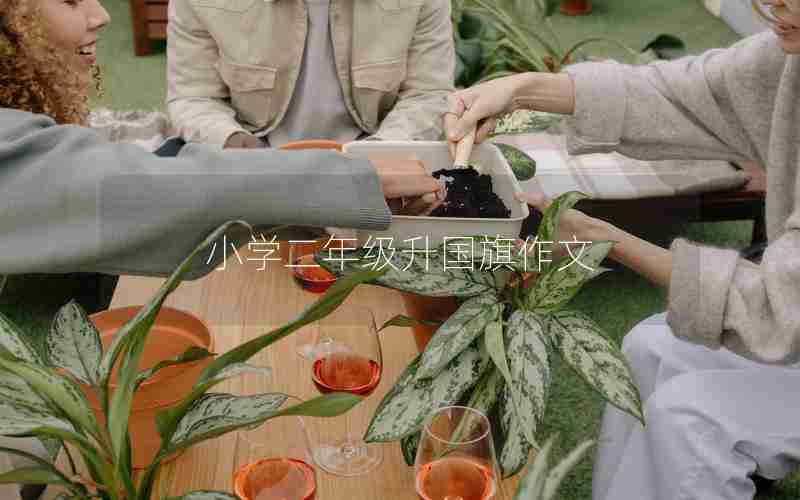 小学二年级升国旗作文