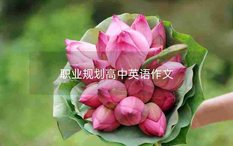 职业规划高中英语作文