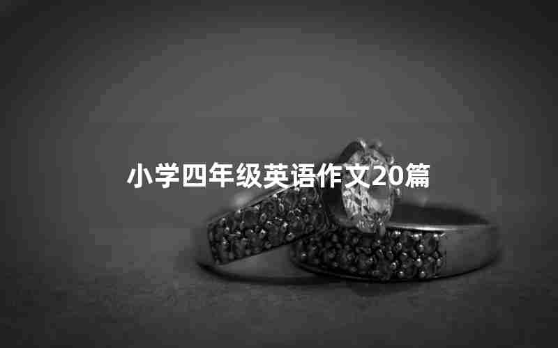小学四年级英语作文20篇