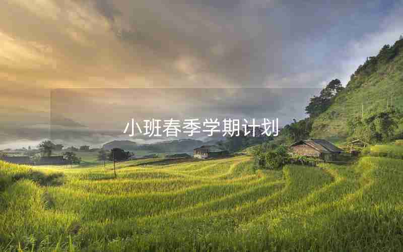 小班春季学期计划