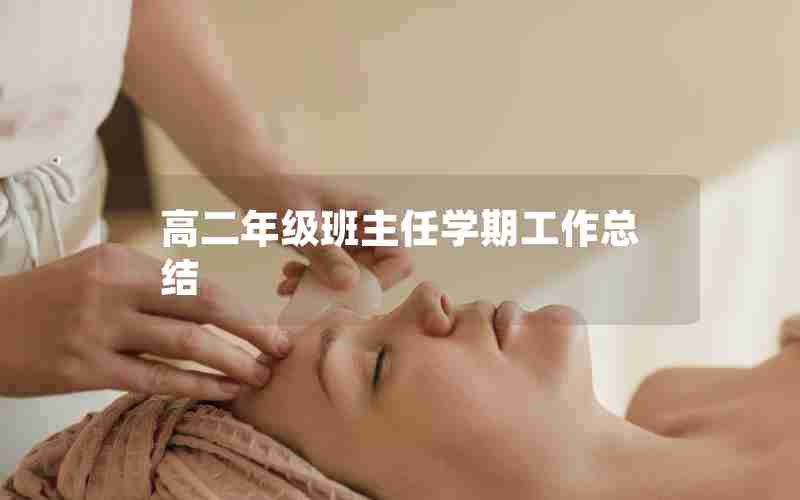 高二年级班主任学期工作总结