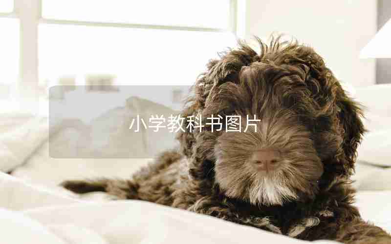 小学教科书图片