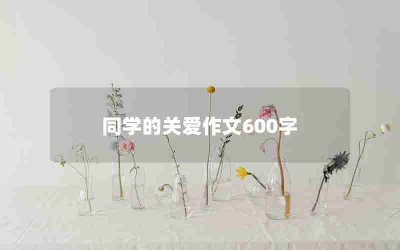 同学的关爱作文600字