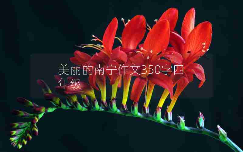 美丽的南宁作文350字四年级