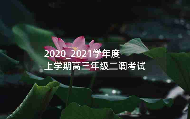 2020_2021学年度上学期高三年级二调考试