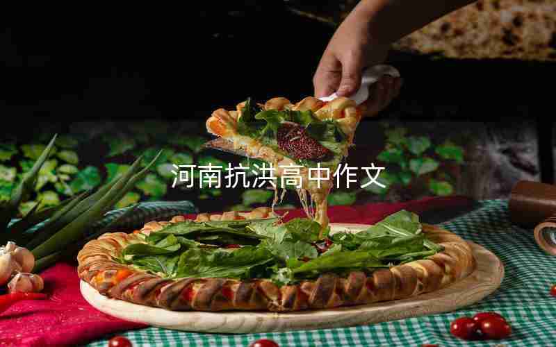 河南抗洪高中作文