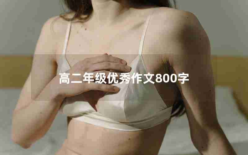 高二年级优秀作文800字