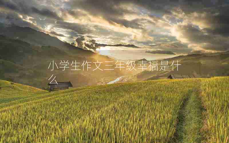 小学生作文三年级幸福是什么