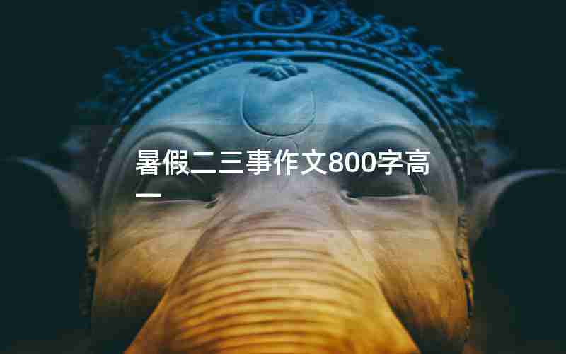 暑假二三事作文800字高一
