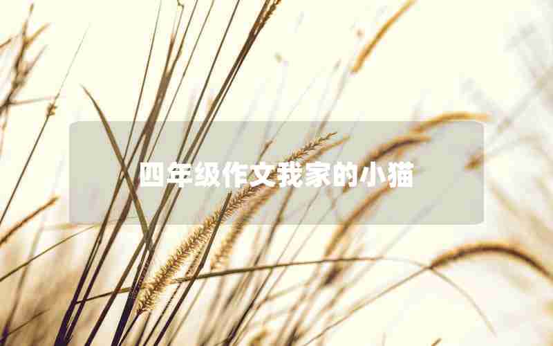四年级作文我家的小猫