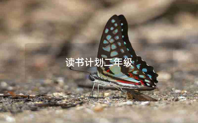读书计划二年级