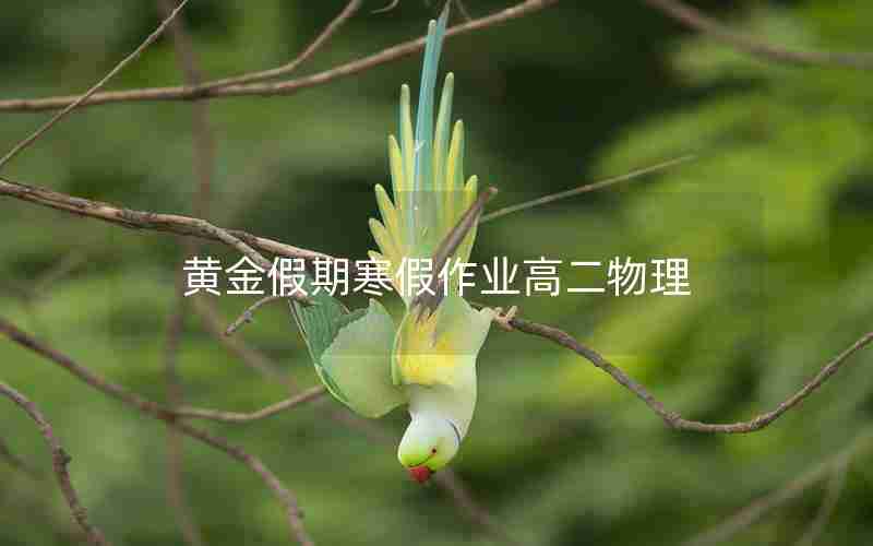黄金假期寒假作业高二物理