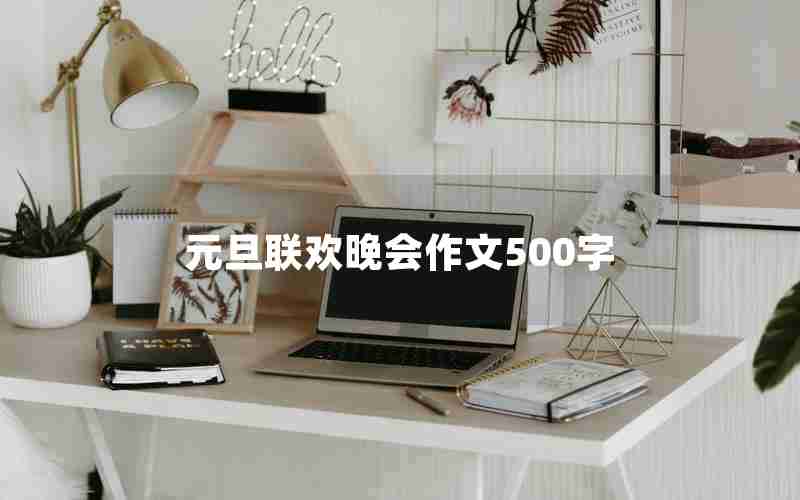 元旦联欢晚会作文500字
