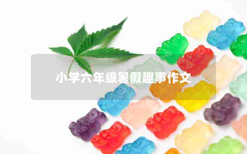 小学六年级暑假趣事作文