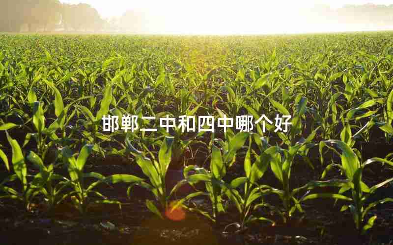 邯郸二中和四中哪个好