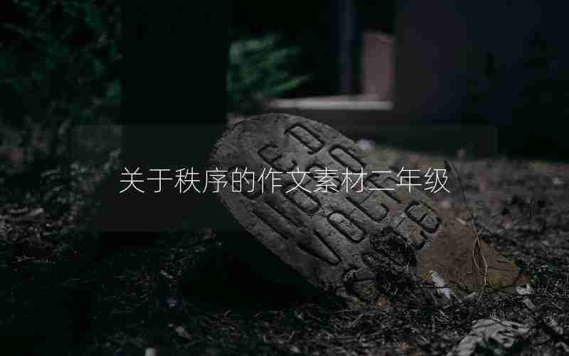 关于秩序的作文素材二年级