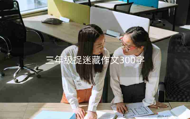 三年级捉迷藏作文300字